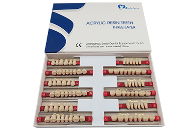 Synthetic Resin Teeth Three Layer - SA31 - SA31